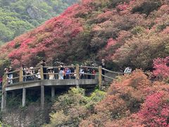 -木兰云雾山