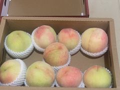 -老袁家蜜桃农场·阳山水蜜桃