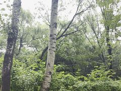 -北京奥林匹克公园