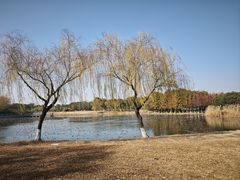 -阳澄湖半岛旅游度假区