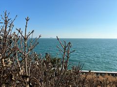 -小麦岛公园