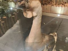 -春记潮汕牛肉火锅