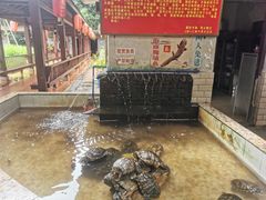 -迈臣农家乐