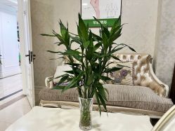 -重庆军科整形美容医院