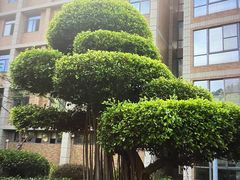 -厦门国家会计学院