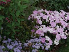 -深圳国际园林花卉博览园