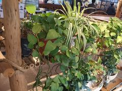 -胖姐渔村(中源大道店)