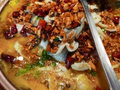 -聚鑫朋酸菜肥肠(文艺路口店)