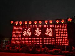 -合肥滨湖国家森林公园