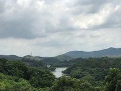 -天鹿湖森林公园