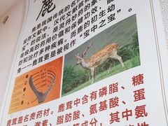 -朴小妹人参鸡汤火锅(长白山万达店)