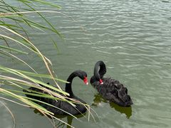 -鄱阳湖国家湿地公园