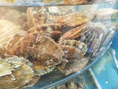 -晓伟海鲜家常菜