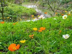 -天适樱花悠乐园