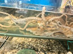 -仙螺岛海鲜自助餐厅(总店)