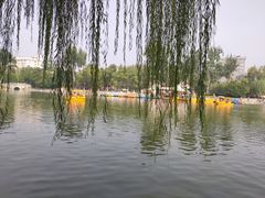 -莲湖公园