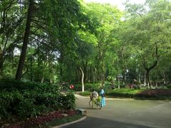 -赭山公园