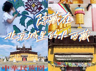 我摊牌了！这真的是在北京拍的我真没去西藏