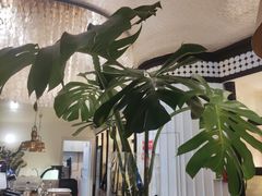 -良木缘咖啡西餐(优品道广场店)