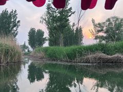 -白洋淀景区