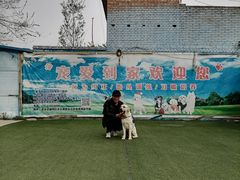 -宠物寄养训练学校