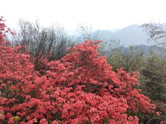 -南岳衡山风景名胜区