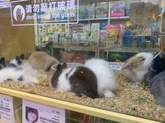 -7mall美食潮地标