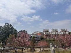 -桃源山庄·水蜜桃采摘·柴火鸡·烧烤团建(龙泉山店)
