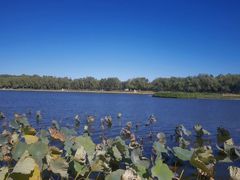 -素心小筑(后沙裕镇店)