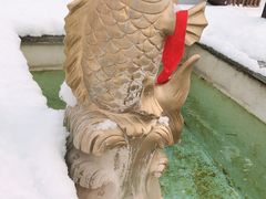 -丽泽山庄·生态怀柔菜·虹鳟鱼(红螺寺店)