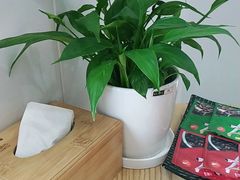 -麦悠悠·SPA·推拿(沈杜公路地铁站店)