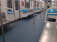 -大龙山(地铁站)