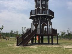 -上海长兴岛郊野公园