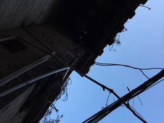 -小洲村