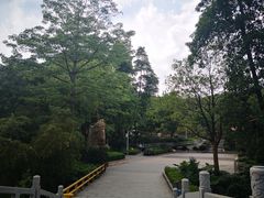-广州市帽峰山景区