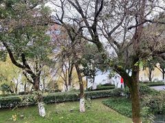 -橘洲1910花园江景西餐厅