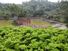 -神光山国家森林公园