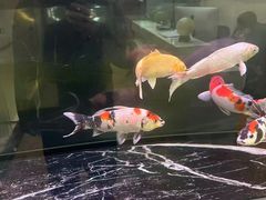 -北京市中润律师事务所
