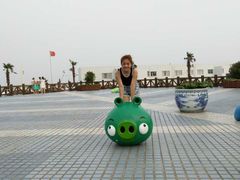 -碧海金沙