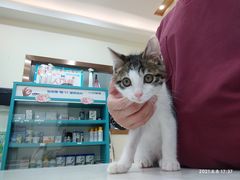 -宠颐生嘉德动物医院