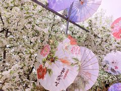 -陕西省西安植物园