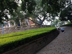 -鼓浪屿钢琴博物馆