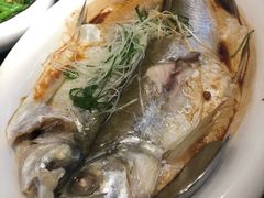-渝半城经典川粤菜(重庆天地店)
