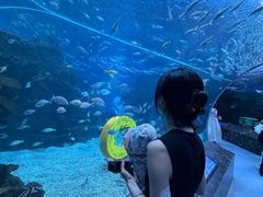 -海合安成都极地海洋公园