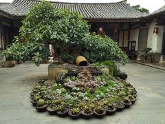 -朱家花园