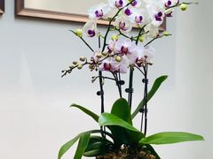 -江南环球港