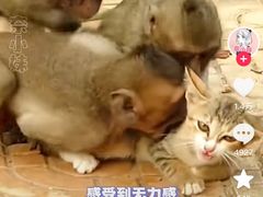 -昆明动物园