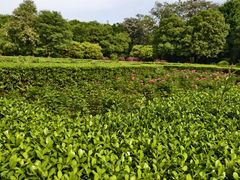 -洛阳市隋唐城遗址植物园