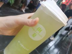 -树夏(锦里店)