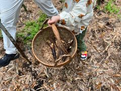 -天目湖御水温泉·度假酒店